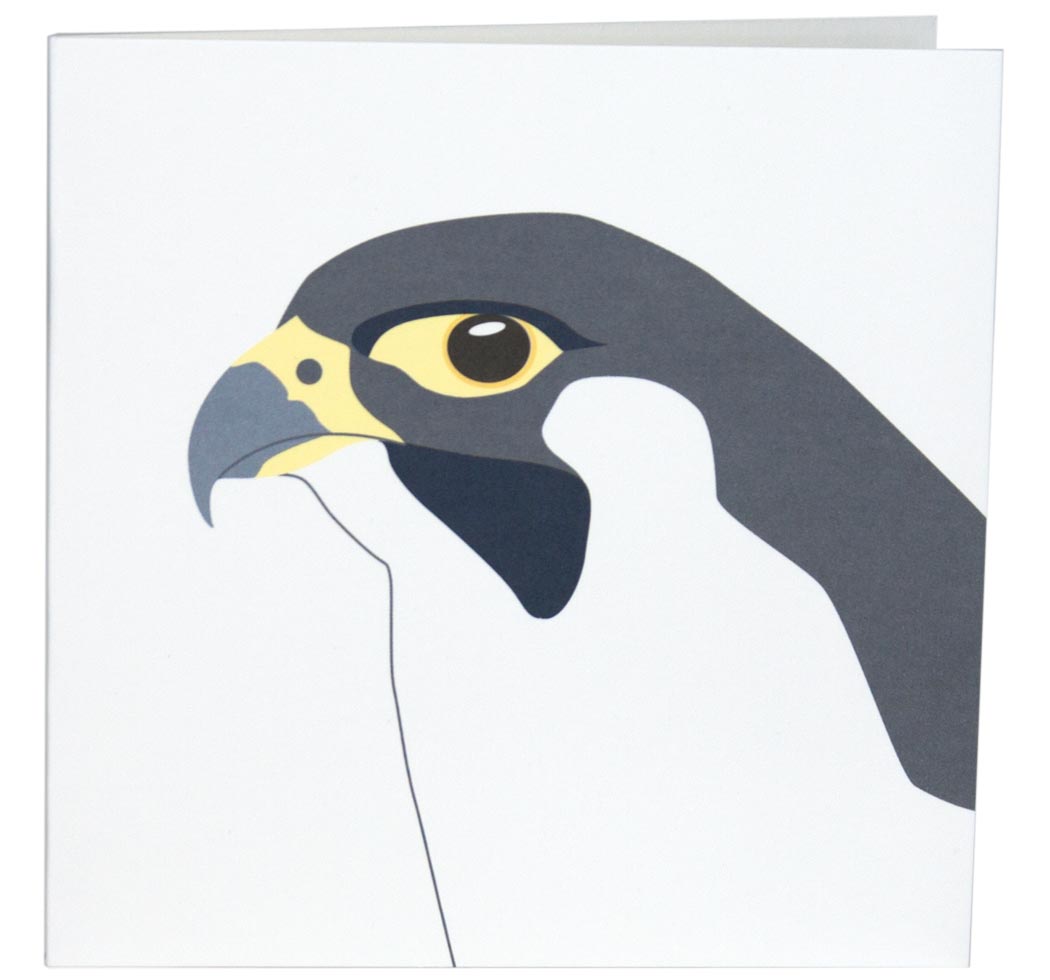 1050x980 Card Peregrine Falcon