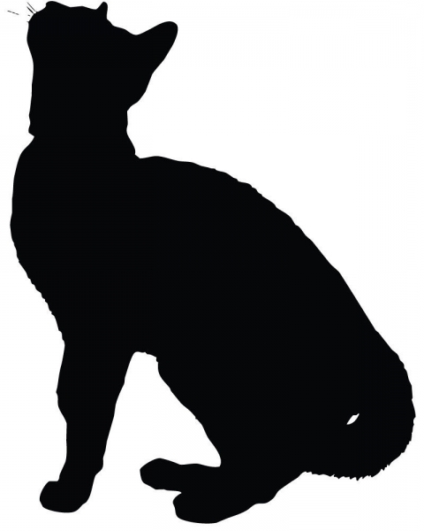 480x600 Persian Cat Silhouette Ebay Pictures Regarding Appealing