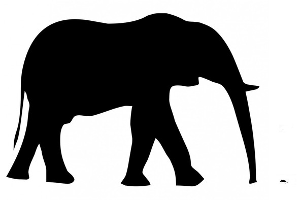 593x394 Of Sizes Large And Small