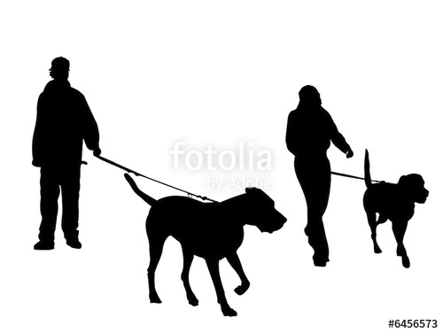 500x376 Young Couple Walking Dogs Silhouette Stock Photo And Royalty Free