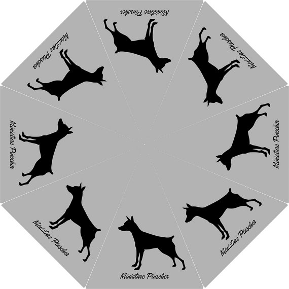 570x570 Silhouette Miniature Pinscher Custom Personalized Dog Puppy Lovers