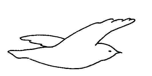 531x268 Birds Outline Images A A Download Free Pictures Duck Outline