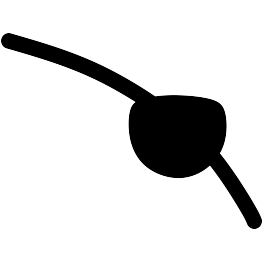 263x262 Eye Patch Clipart