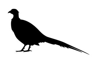 320x204 Pheasant Silhouette 2 Decal Sticker