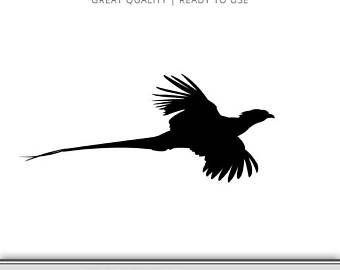 340x270 Pheasant Clip Etsy