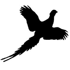 236x236 Pheasant Silhouette Silhouettes Pheasant