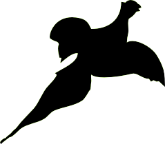 239x209 Pricing For Riverview Hunting