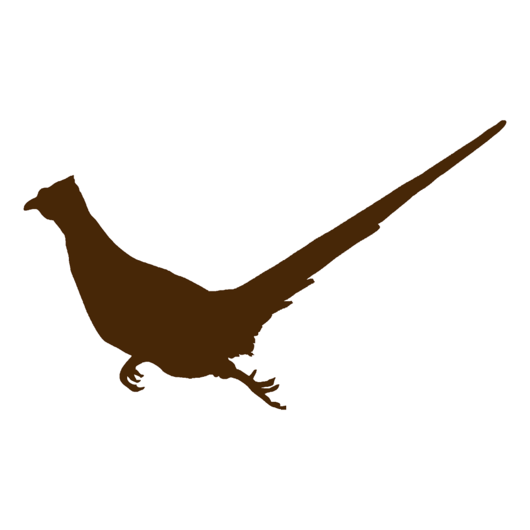 530x530 Running Rooster Pheasant Silhouette, Pheasant Hunting Decal