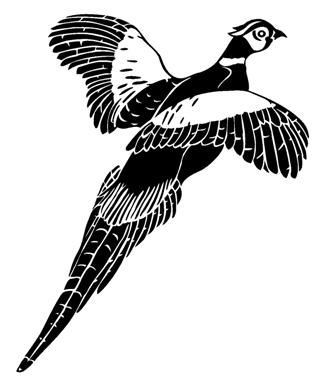 320x380 Stick This Graphics Vinyl Decals And Stickers