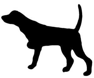 300x251 Pheasant Bird Dog Decal Wd 066 Bird Hunting Truck Sticker