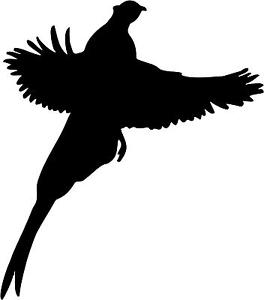 264x300 Pheasant Decal 3.75x4.25 Choose Color! Vinyl Sticker P3 Ebay