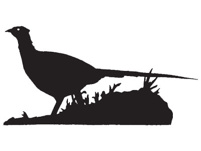 400x300 Pheasant Silhouette