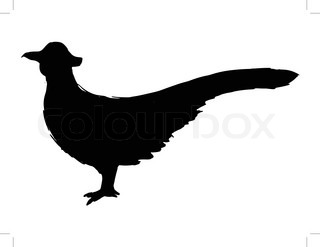 320x247 Silhouette Of The Pheasant On White Background Stock Vector