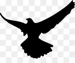 260x220 Bird Eagle Hawk Clip Art