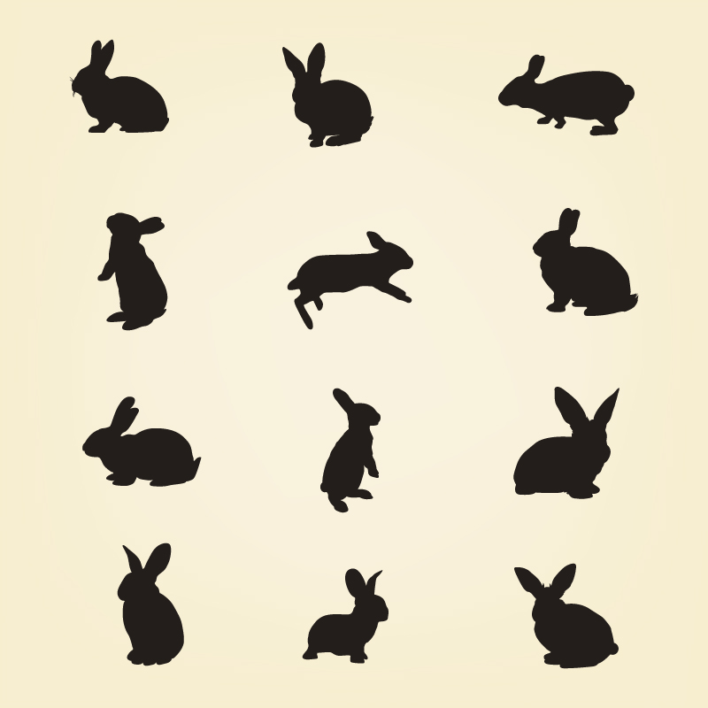 800x800 Rabbit Vector Silhouette Pack