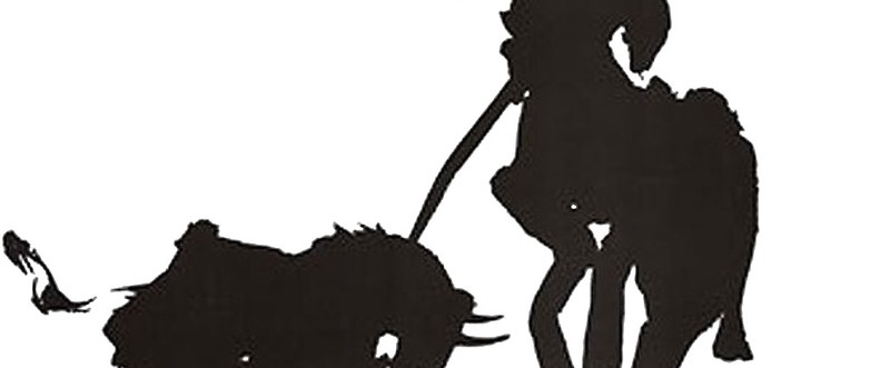 800x331 Picasso Mugs By Wyllie Redbubble