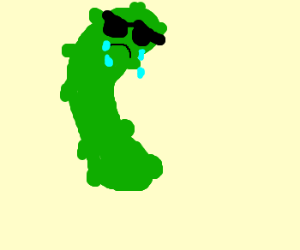 300x250 Crying Pickle Wsunglasses