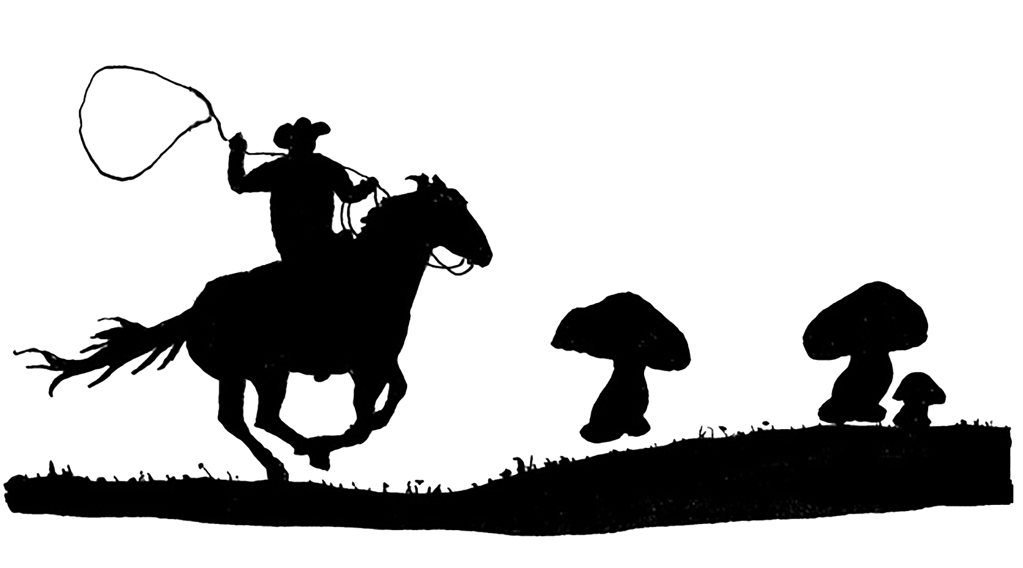 2025x1125 Best Cellar Pickle Company Pickle The World.