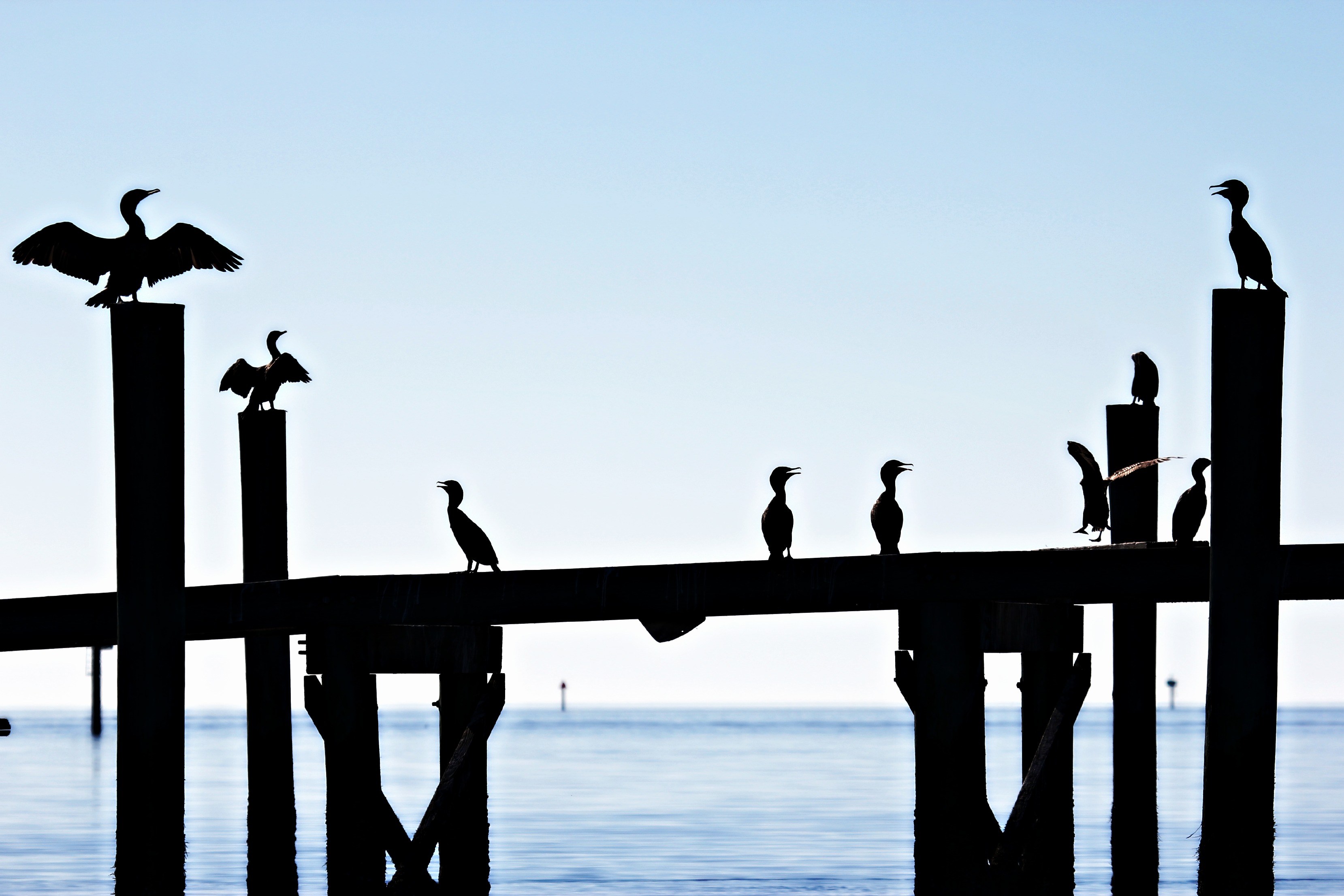 3318x2212 February 2015 Somewhere In New Jersey