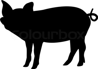 320x228 Pig Collection In Color, Outlines And Silhouettes