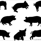 140x140 Pig Silhouette Animal Free Black White Clipart Images Clipartblack