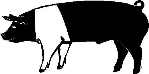 522x260 Pig Outline Clip Art