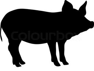 320x242 Cartoon Swine Flu Pig Stock Vector Colourbox