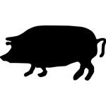 150x150 Vector Drawing Of Scared Pig Public Domain Vectors