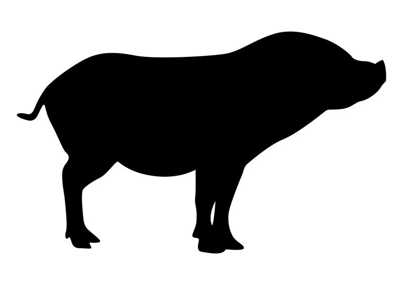 800x566 Pig Vector Silhouette