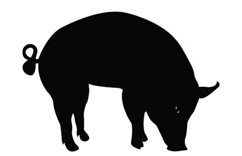 480x309 Pig Silhouette Vectors Silhouettes Vector