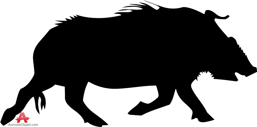 999x495 Boar Clipart Wild Pig