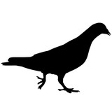 160x160 Pigeon Silhouette Vector Graphics Stock Image And Royalty Free