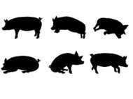 190x142 Pig Black Silhouette Premium Clipart