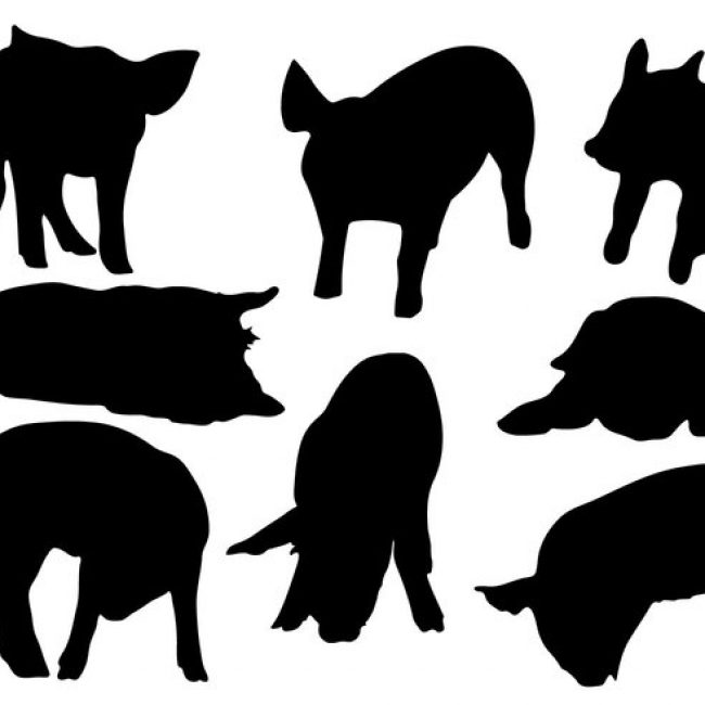 650x650 Free Vector Free Pig Silhouette Vector