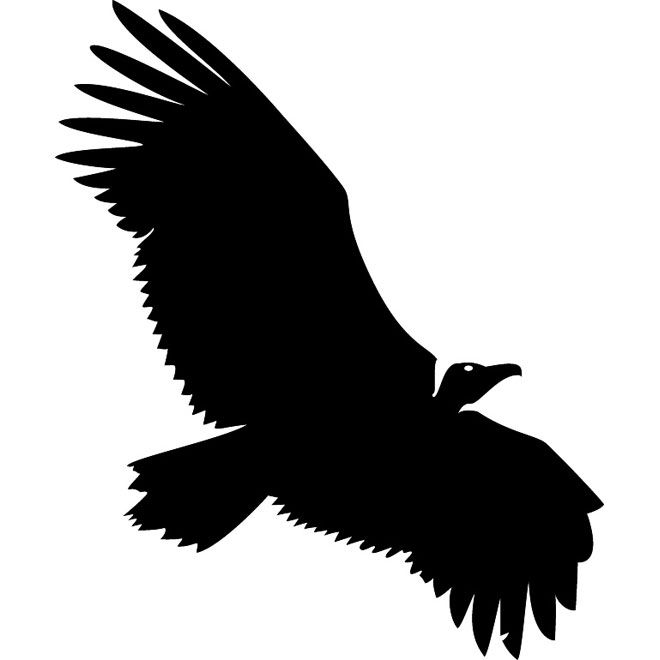 660x660 Vulture Silhouette Free Vector Vulture