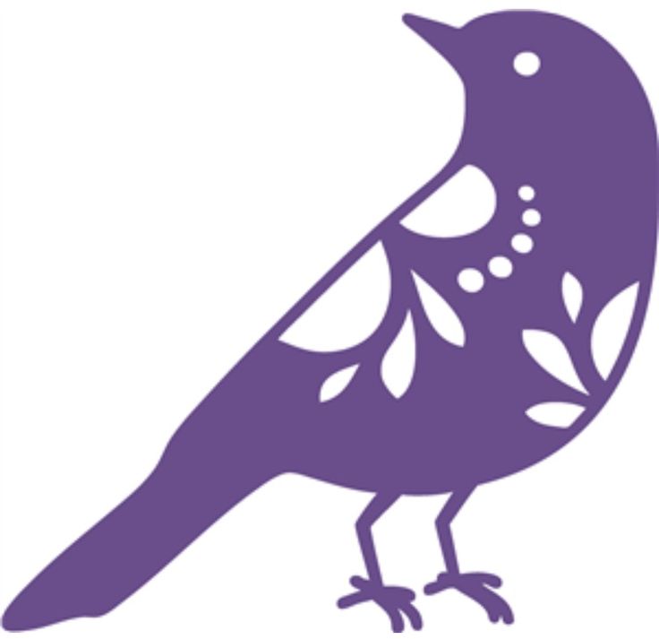 736x713 35 Best Us ~ Woodpecker Images On Woodpeckers, Birds