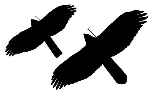 600x370 Bird Id Skills Size Amp Shape All About Birds