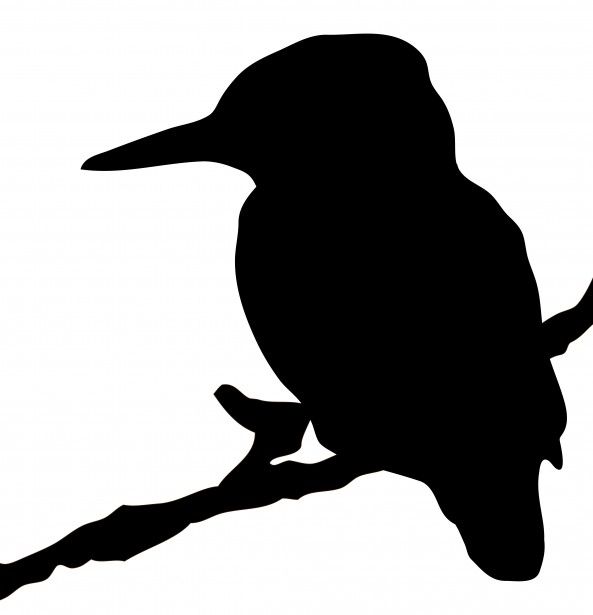 593x615 Kingfisher Bird Silhouette Clipart