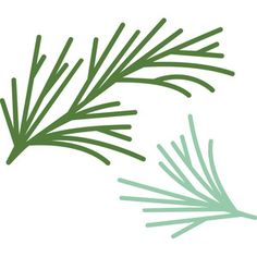 236x236 Silhouette Design Store Pine Branch Quat