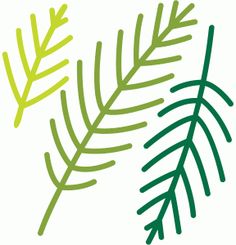 236x245 Winter Pine Needles Branches, Svg Dxf Digital Download File