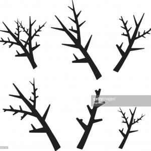 300x300 Pine Tree Branch Silhouette Gm Shopatcloth
