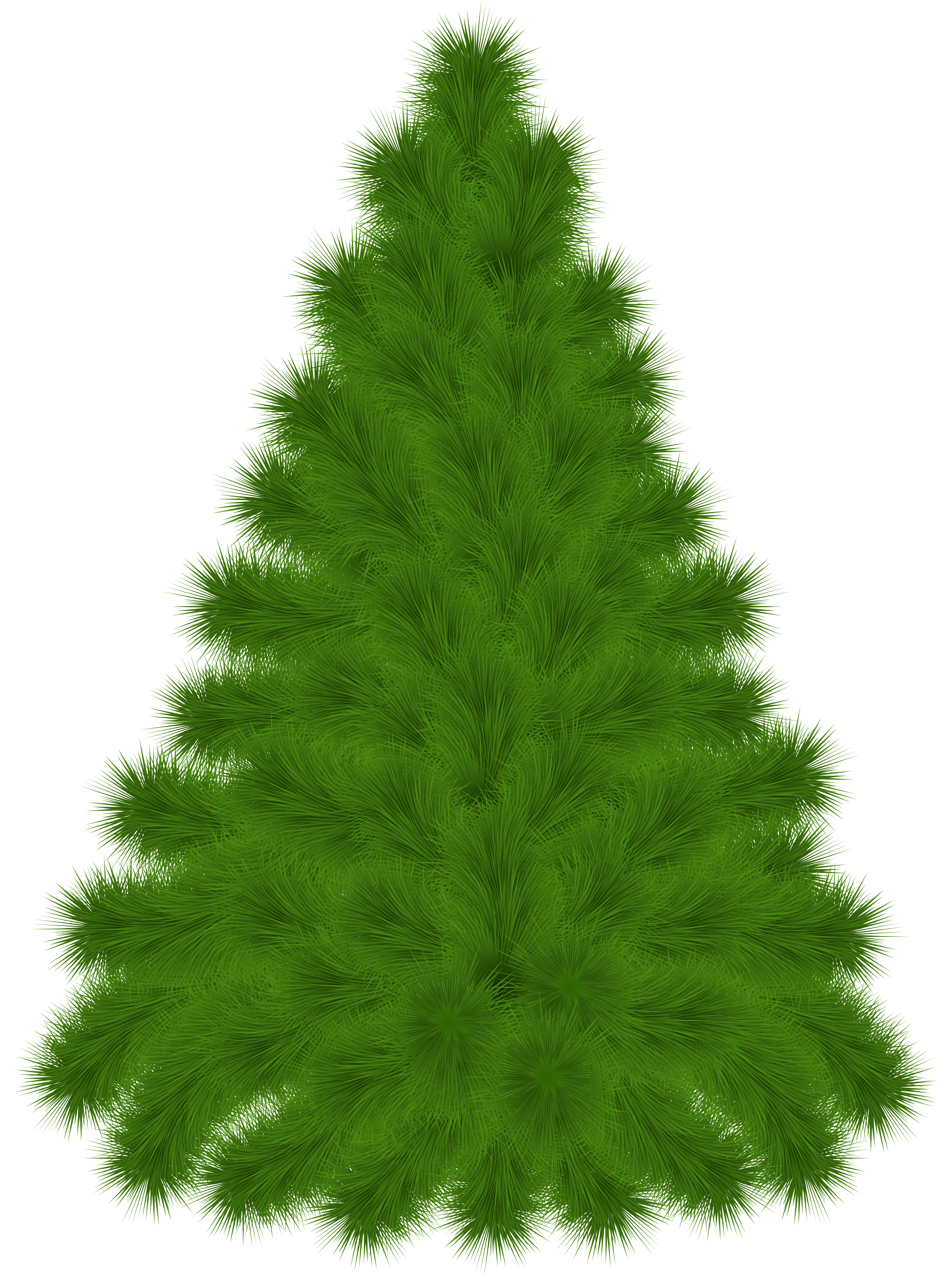 3727x5000 Pine Clipart Treee