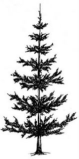 159x320 Beccy's Place Pine Forest Freebie Digital Images Printables