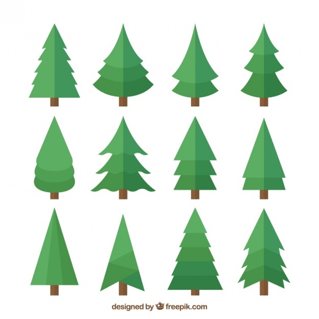 626x626 Pine Vectors, Photos And Psd Files Free Download