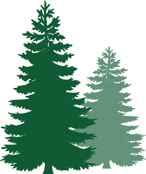 504x597 Pine Trees Clip Art