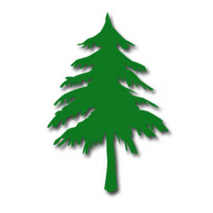 300x300 Small Pine Tree Clipart Collection
