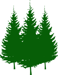 234x298 Free Pine Tree Clipart