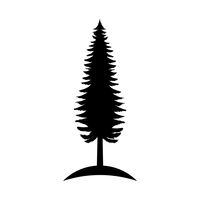 200x200 Pine Tree Silhouette Vector Image