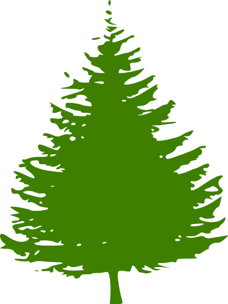 444x593 Pine Tree Clip Art
