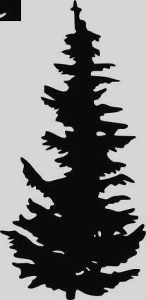 207x425 Silhouette Of Pine Trees Clipart